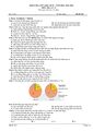 PageImage_Đề_giữa_học_kỳ_2_Địa_lí_11_năm_2023_2024_trường_THPT_Thống_Nhất_A_Đồng_Nai.jpg