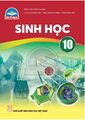 Hình xem trước của phiên bản lúc 10:09, ngày 4 tháng 3 năm 2025