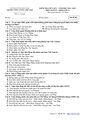 PageImage_Đề_giữa_kỳ_2_Lịch_sử_11_năm_2022_2023_trường_THPT_Lương_Thế_Vinh_Quảng_Nam.jpg