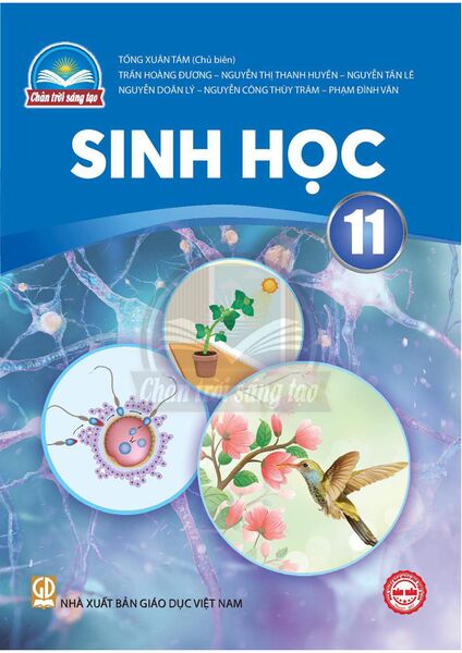 Tập tin:PageImage Sách giáo khoa Sinh học 11 Chân Trời Sáng Tạo .jpg