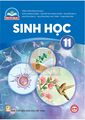 Hình xem trước của phiên bản lúc 10:09, ngày 4 tháng 3 năm 2025