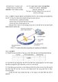 PageImage_Đề_học_sinh_giỏi_Hóa_học_10_năm_2022_2023_trường_THPT_Bình_Chiểu_TP_HCM.jpg