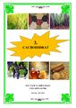 PageImage_500_bài_tập_trắc_nghiệm_cacbohiđrat_có_đáp_án_Hà_Giữ_Quốc.jpg