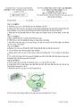 PageImage_Đề_học_sinh_giỏi_Sinh_học_11_năm_2022_2023_trường_THPT_Phùng_Khắc_Khoan_Hà_Nội.jpg