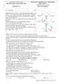 PageImage_Đề_học_kỳ_2_Sinh_học_12_năm_2020_2021_trường_THPT_Lương_Thế_Vinh_Quảng_Nam.jpg
