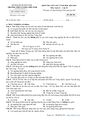 PageImage_Đề_giữa_kỳ_2_Lịch_sử_10_năm_2022_2023_trường_THPT_Lương_Thế_Vinh_Quảng_Nam.jpg