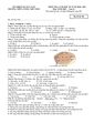 PageImage_Đề_học_kỳ_2_Sinh_học_10_năm_2020_2021_trường_THPT_Lương_Thế_Vinh_Quảng_Nam.jpg