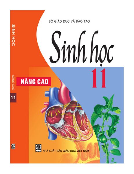Tập tin:PageImage Sách giáo khoa Sinh học 11 nâng cao.jpg