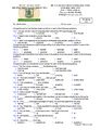 PageImage_Đề_khảo_sát_chất_lượng_đầu_năm_2018_2019_Tiếng_Anh_11_trường_Thuận_Thành_1_Bắc_Ninh.jpg