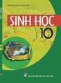 Hình xem trước của phiên bản lúc 10:09, ngày 4 tháng 3 năm 2025