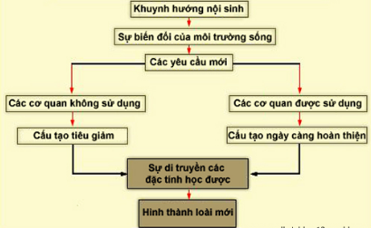 Các luận điểm chính của học thuyết Lamac