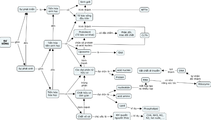 Sơ đồ kiến thức về sự sống