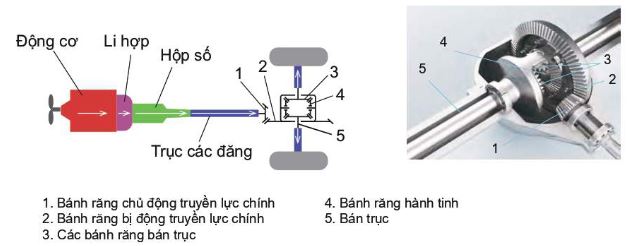 Truyền lực chính và bộ vi sai