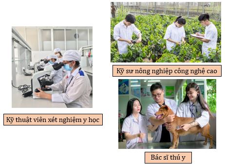 Một số ngành nghề triển vọng liên quan đến sinh học cơ thể