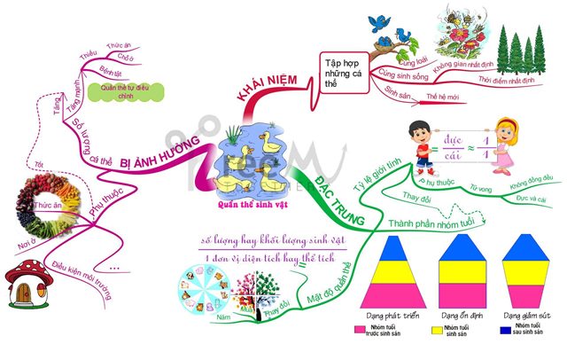 Sơ đồ tổng kết kiến thức về quần thể sinh vật