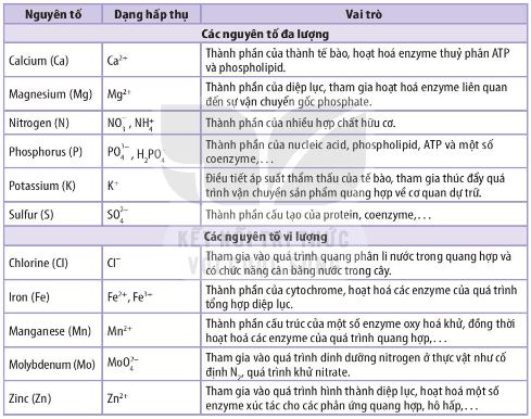 Vai trò của một số nguyên tố khoáng thiết yếu đối với thực vật