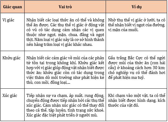 Vai trò và ví dụ của vị giác, khứu giác và xúc giác