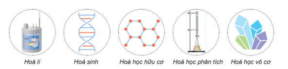 Hình 2. Một số chuyên ngành trong hoá học