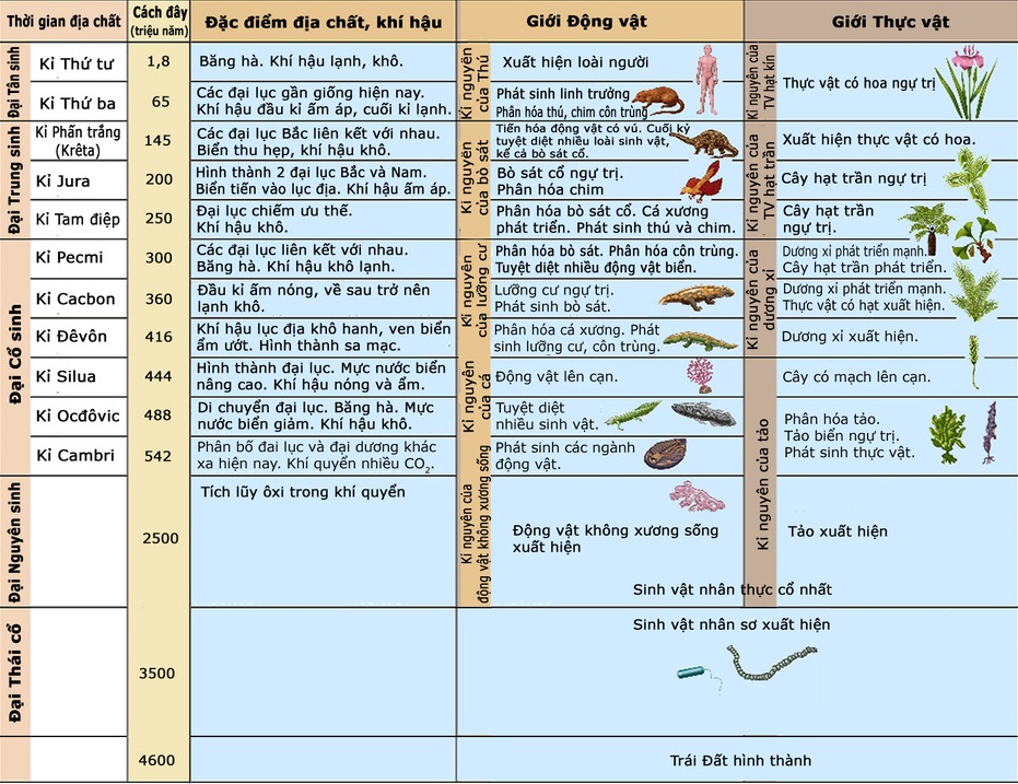 Các đại địa chất và sinh vật tương ứng