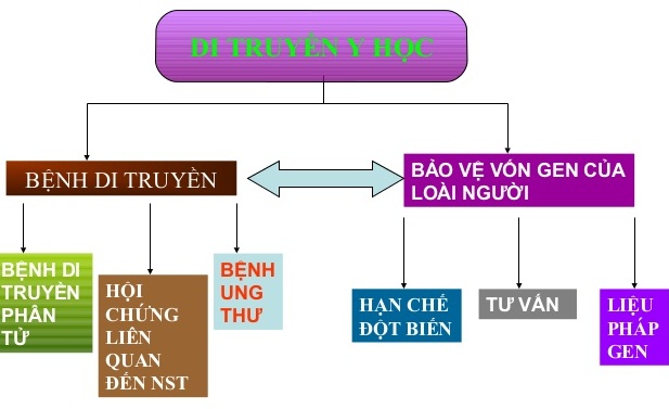 Kiến thức di truyền y học