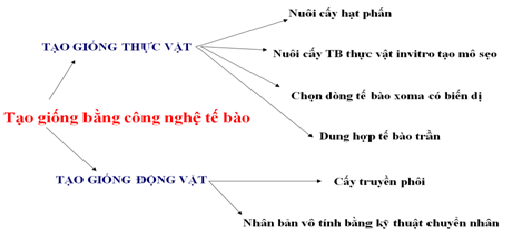 Các phương pháp tạo giống bằng công nghệ tế bào