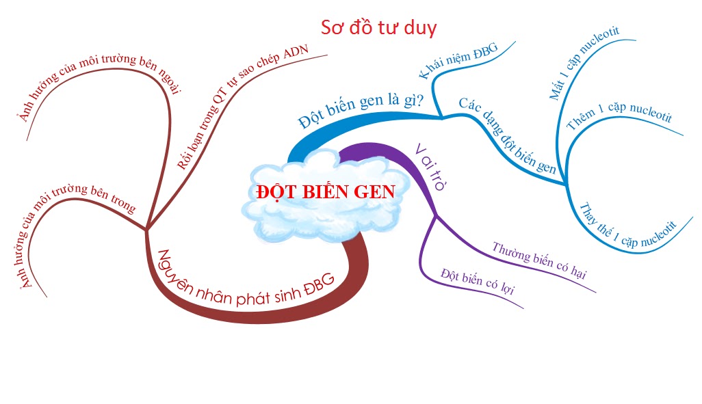 Sơ đồ tư duy về đột biến gen