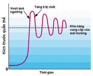 Sơ đồ tự điều chỉnh số lượng cá thể của quần thể trở lại mức cân bằng