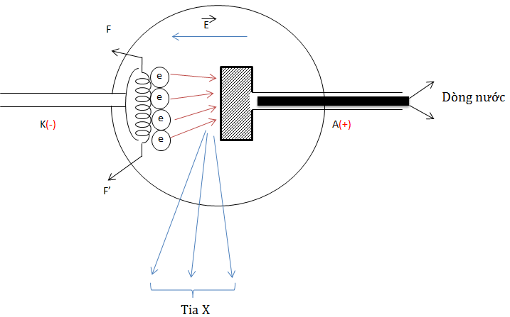 Dùng ống Cu-lít-giơ để tạo ra tia X
