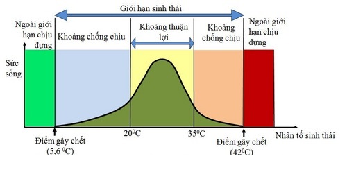 Sơ đồ tổng quát mô tả giới hạn sinh thái của sinh vật