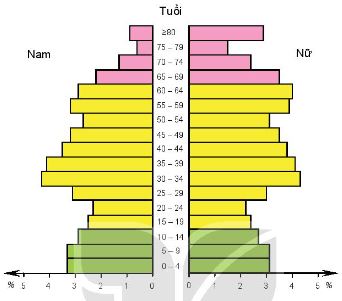 Tháp dân số Liên bang Nga năm 2020