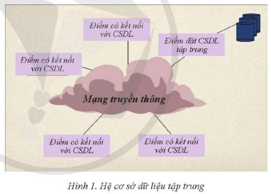  Lý thuyết Tin học 11 (Cánh diều) Bài 7: Các loại kiến trúc của hệ cơ sở dữ liệu (ảnh 1)