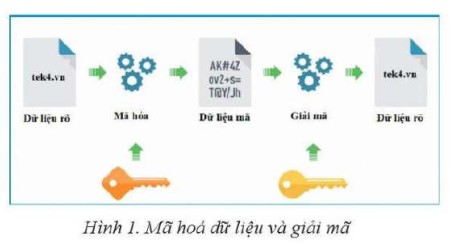 Lý thuyết Tin học 11 (Cánh diều) Bài 8: Bảo vệ sự an toàn của hệ CSDL và bảo mật thông tin trong CSDL (ảnh 1)