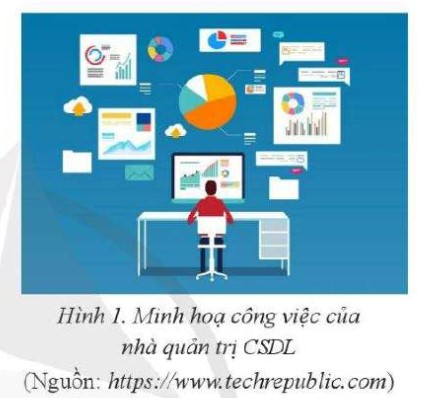 Lý thuyết Tin học 11 (Cánh diều) Bài: Nghề quản trị cơ sở dữ liệu (ảnh 1)