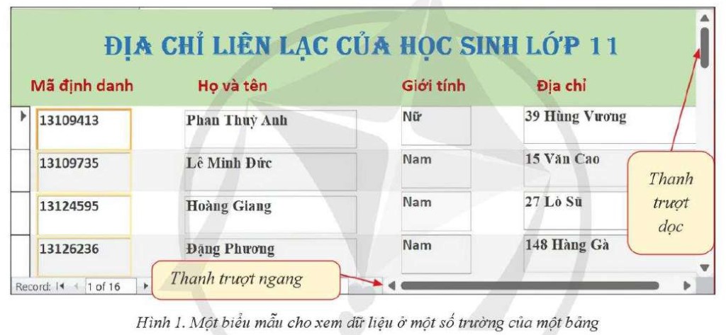 Lý thuyết Tin học 11 (Cánh diều) Bài 4: Các biểu mẫu cho xem và cập nhật dữ liệu (ảnh 1)