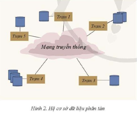  Lý thuyết Tin học 11 (Cánh diều) Bài 7: Các loại kiến trúc của hệ cơ sở dữ liệu (ảnh 1)