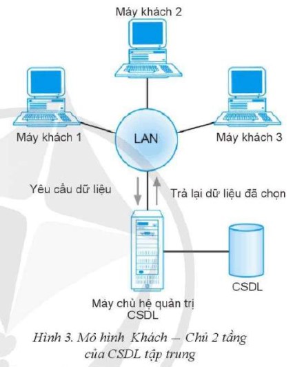  Lý thuyết Tin học 11 (Cánh diều) Bài 7: Các loại kiến trúc của hệ cơ sở dữ liệu (ảnh 1)