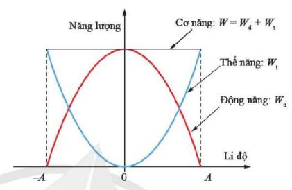 Lý thuyết Vật Lí 11 Cánh diều Bài 3: Năng lượng trong dao động điều hoà