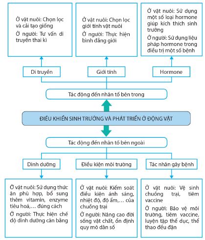 Các biện pháp điều khiển sinh trưởng và phát triển ở động vật