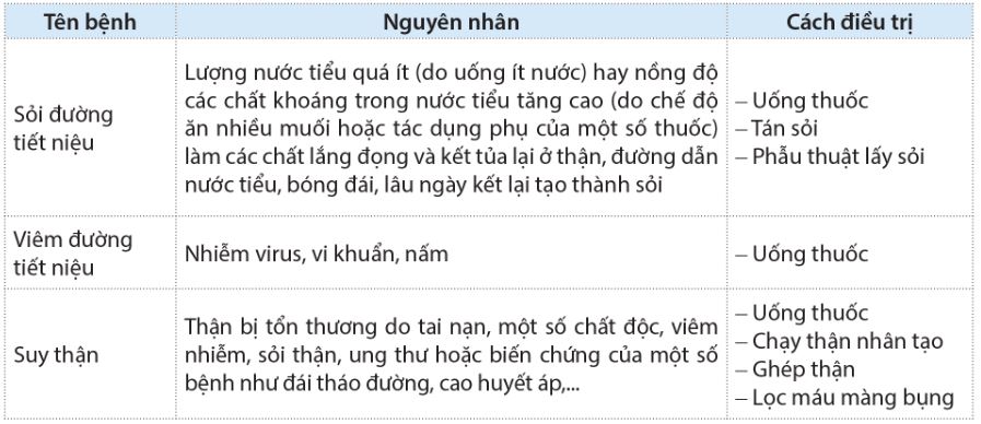 Một số bệnh liên quan đến cơ quan bài tiết