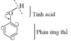 Ảnh hưởng qua lại giữa nhóm OH và vòng benzene 